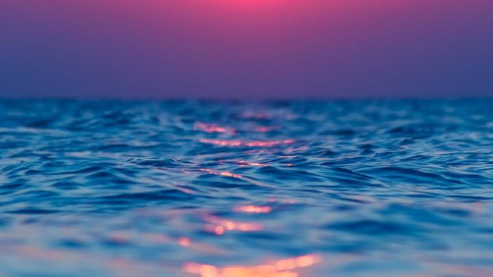 Logo for In the Midst