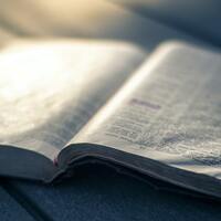 Logo for Bible Study - Marsha Strieker