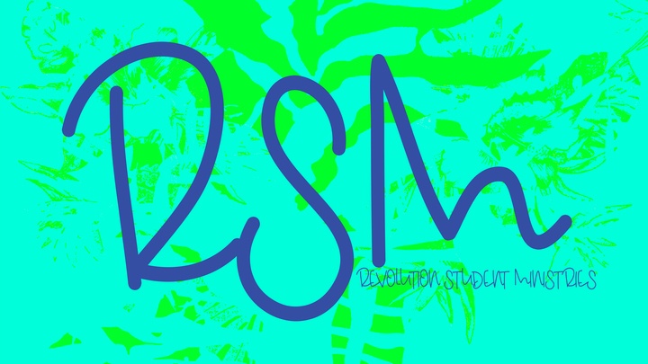 Logo for RSM Dream Team