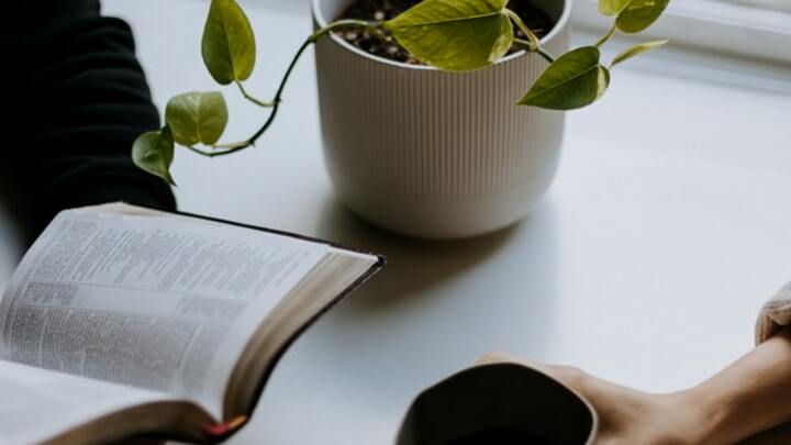 Logo for Legacy City: Young & Married