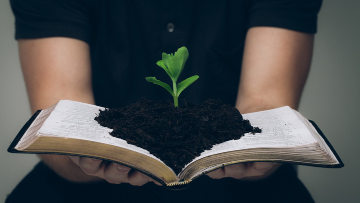 Logo for Renewed Life