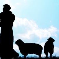 Elder Leadership Team (Session)