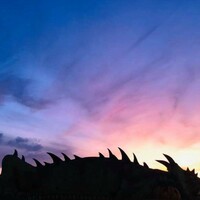 Logo for Life Group - Meuser/Black