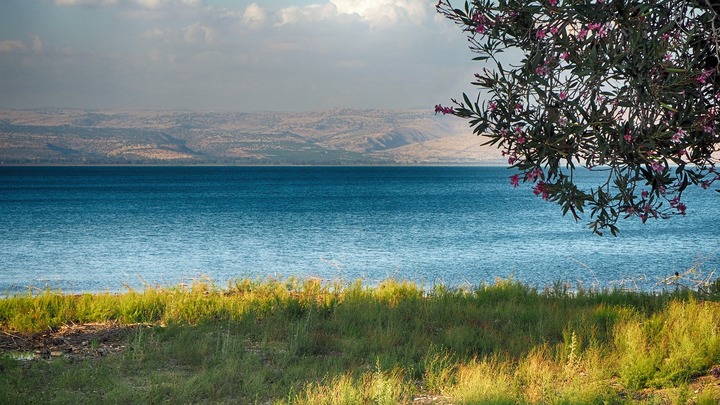 Logo for God's Square Pegs