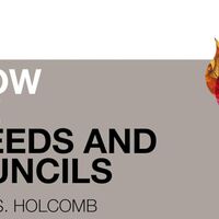 Logo for Adult Bible-Based Study | Know The Creeds And Councils