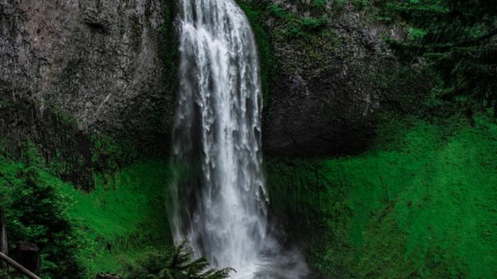 Logo for Fall City Life Group