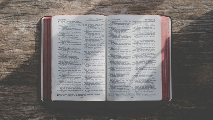 Logo for Senior Women's Group - Rose Marie Smith