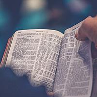 Logo for Adults - Ages 50+ (M. Sharp)