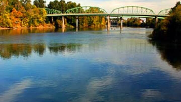 Logo for Albany Community Group