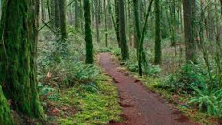 Logo for Corvallis Community Group