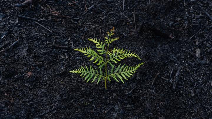 Logo for Celebrate Recovery