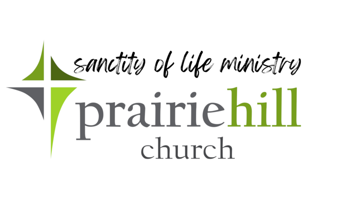 Logo for Sanctity of Life Ministry
