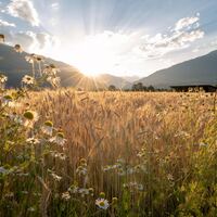 Logo for Making Space for God  (Women)