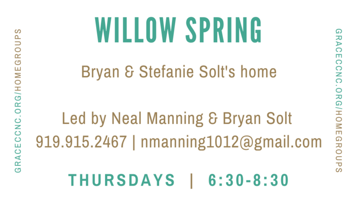 Logo for Willow Spring