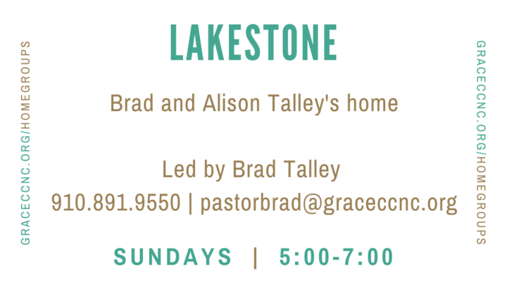 Logo for Lakestone