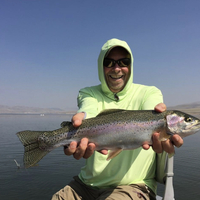 Logo for David Eseke  -  Small Group Men