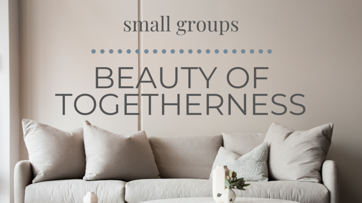 Logo for Beauty of Togetherness