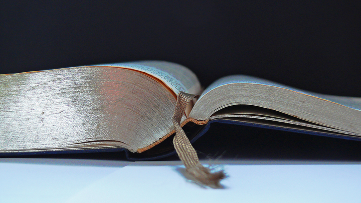 Logo for Sisters in Christ Dgroup