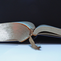 Logo for Sisters in Christ Dgroup