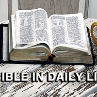 Bible in Daily Life - Wed 3:30 At Panera Bread Lisbon Landing