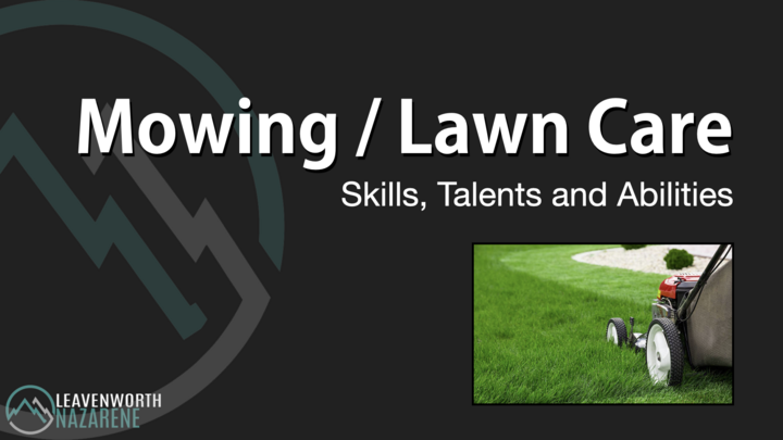 Logo for Skills-Talents-Abilities: Mowing / Lawn Care