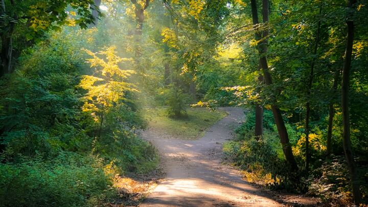 Logo for Pathfinders - Co-Ed Adults - All ages