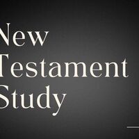 Logo for Coed - New Testament Study - Scarce Class