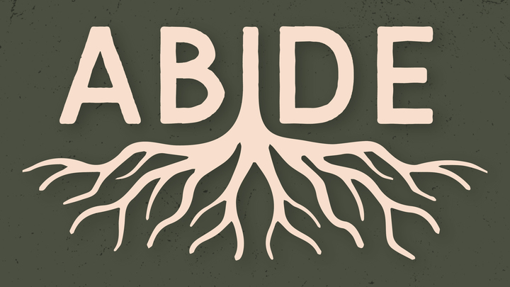 Logo for Abide