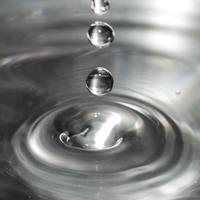 Logo for Mens Bible Study Group - Peter's group