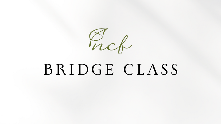 Logo for Bridge Class