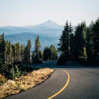 Logo for Dickson Disaster Relief