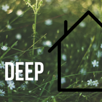 Logo for Dig Deep: Women, Lecture, 50s-60s