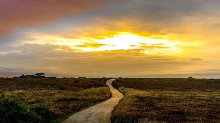 Logo for The Journey