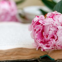 Logo for Women’s Group