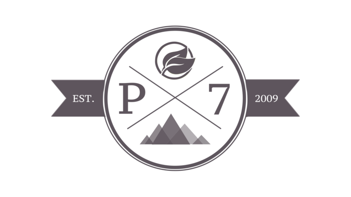 Logo for Project 7 Youth Group