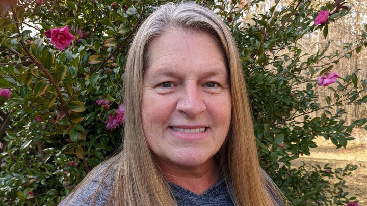 Logo for Ladies in the Word - Denise Harris