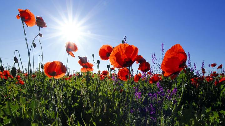 Logo for Ladies Group - Liz Wagley