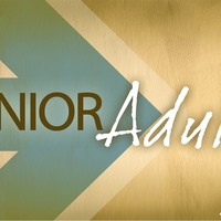 Logo for Seniors Group