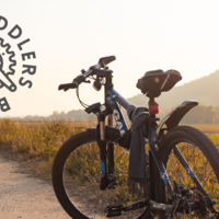 Logo for Backstreet Peddlers