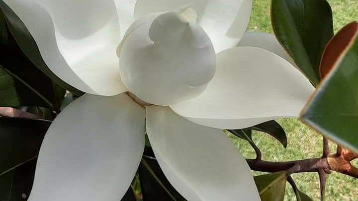 Logo for Affinity |  Re:[JOY]ce — A Fellowship of Widows