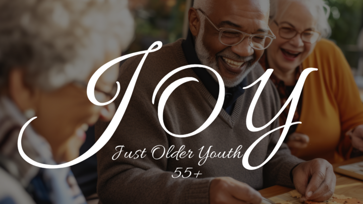 Logo for JOY - Just Older Youth