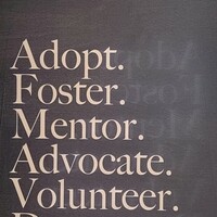 Logo for Foster Care Small Group - Hampl