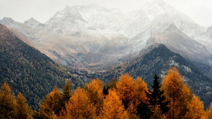 Logo for NCS Leaders