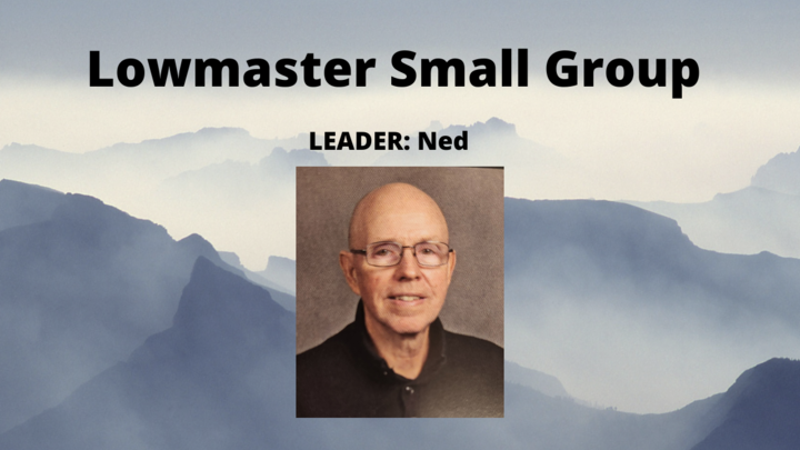 Logo for Lowmaster Small Group