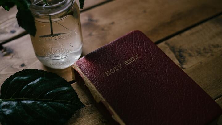 Logo for Diggin Deeper "The Treasure Is There"