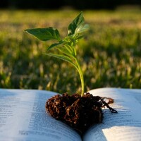 Logo for The Church House