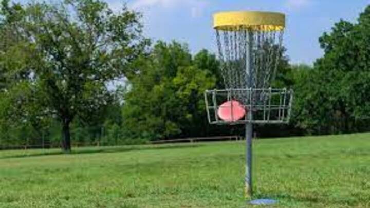 Logo for Rob Buck D-Group (disc golf)