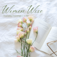 Logo for Women Wise