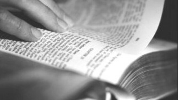 Logo for Pipp (50's)