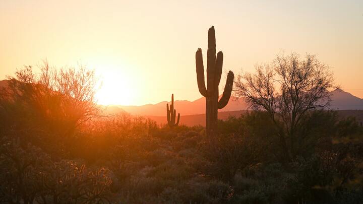 Logo for Arizona - Phoenix (Peoria) - Homeward